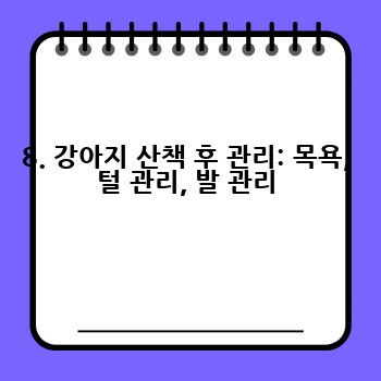 8. 강아지 산책 후 관리: 목욕, 털 관리, 발 관리