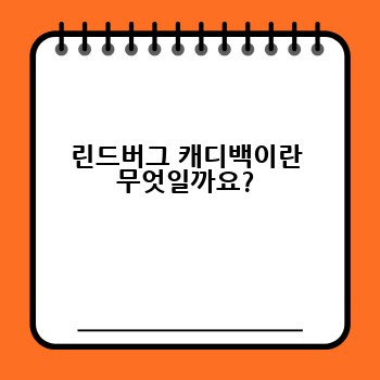 린드버그 캐디백이란 무엇일까요?
