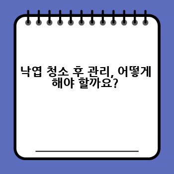 낙엽 청소 후 관리, 어떻게 해야 할까요?