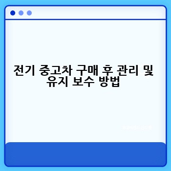 전기 중고차 구매 후 관리 및 유지 보수 방법