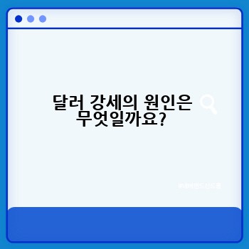 달러 강세의 원인은 무엇일까요?