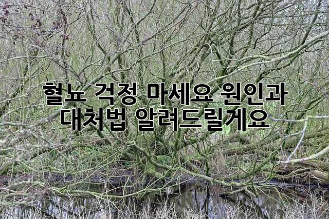 혈뇨, 걱정 마세요! 원인과 대처법 알려드릴게요