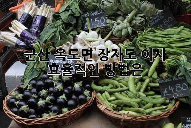 군산 옥도면 장자도 이사, 효율적인 방법은?