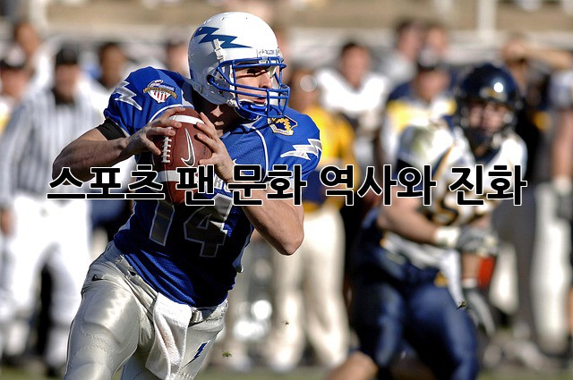 스포츠 팬 문화: 역사와 진화