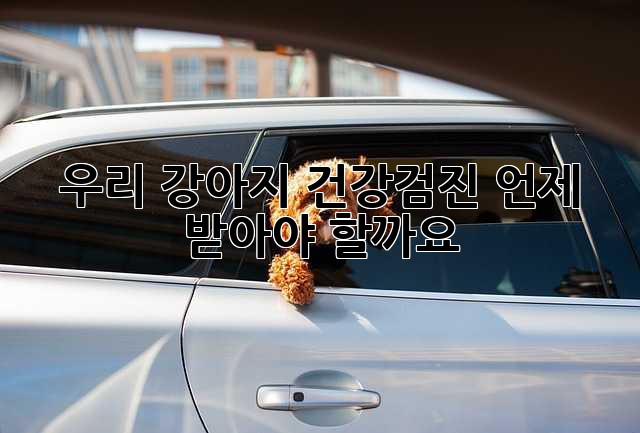 우리 강아지, 건강검진 언제 받아야 할까요?