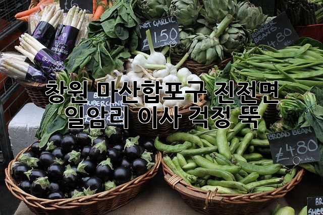 창원 마산합포구 진전면 일암리 이사, 걱정 뚝!