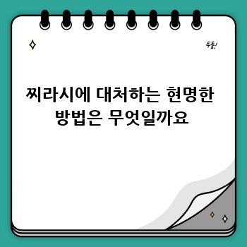 찌라시에 대처하는 현명한 방법은 무엇일까요