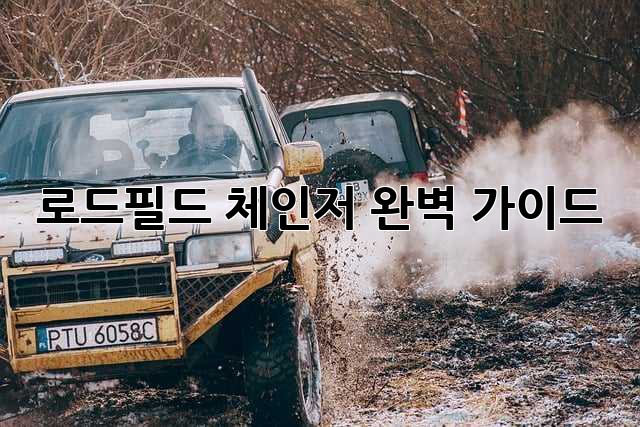 로드필드 체인저 완벽 가이드