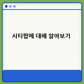 시티팝에 대해 알아보기