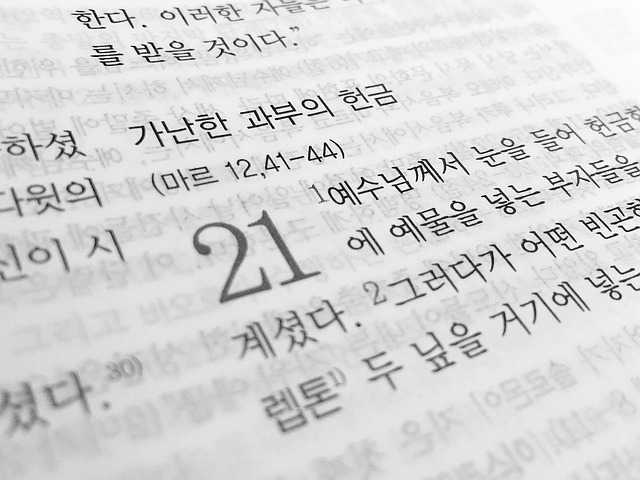 신민숙 국어: 효과적인 학습 전략과 강의 특징 완벽 분석