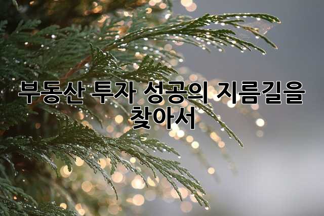 부동산 투자, 성공의 지름길을 찾아서