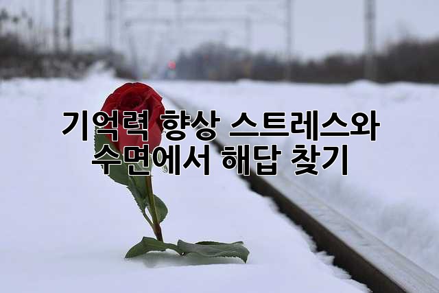 기억력 향상, 스트레스와 수면에서 해답 찾기