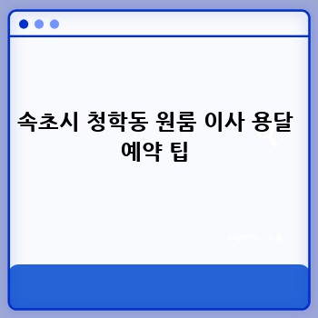 속초시 청학동 원룸 이사 용달 예약 팁