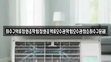 하수구역류정화조막힘정화조역류오수관막힘오수관청소하수구문제