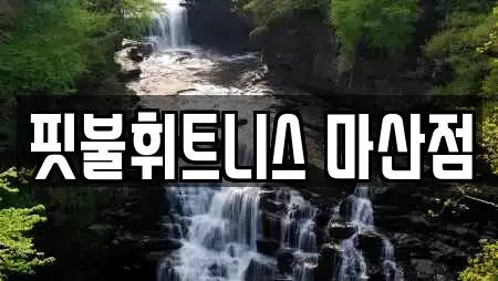 경상남도 창원 마산합포구 창동 헬스장,필라테스,복싱,암벽등반,요가 17 위치정보