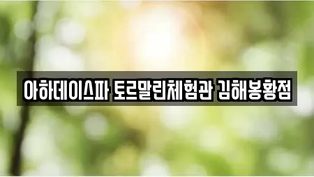 아하데이스파 토르말린체험관 김해봉황점