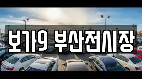 보가9 부산전시장