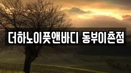 더하노이풋앤바디 동부이촌점