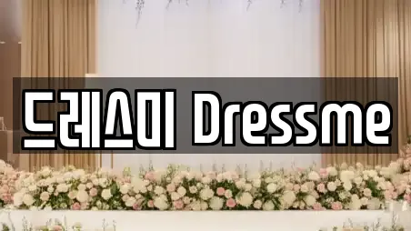 드레스미 Dressme