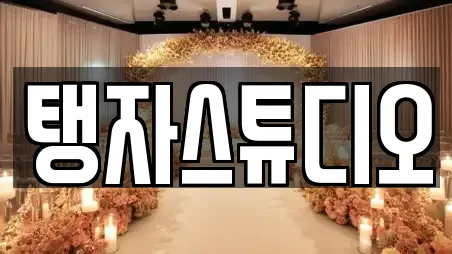 탱자스튜디오
