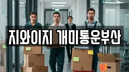 지와이지 개미통운부산