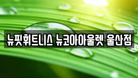 뉴핏휘트니스 뉴코아아울렛 울산점