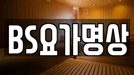 BS요가명상