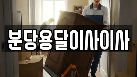 분당용달이사이사