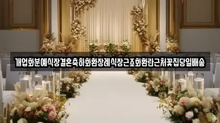 중구 안영동 웨딩컨설팅전문 2곳