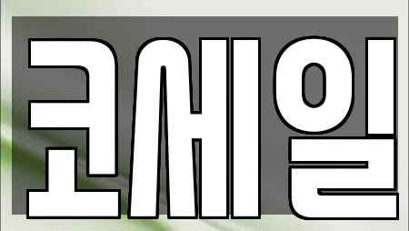 중앙동2가 추천 요가,헬스장,필라테스,복싱,암벽등반 검색