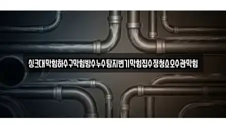 싱크대막힘하수구막힘방수누수탐지변기막힘집수정청소오수관막힘