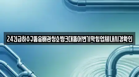 24긴급하수구뚫음배관청소씽크대뚫어변기막힘업체내시경확인