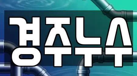 경북 경주 신평동 전문 하수구뚫음 업체 9 위치정보