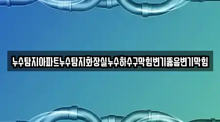 누수탐지아파트누수탐지화장실누수하수구막힘변기뚫음변기막힘