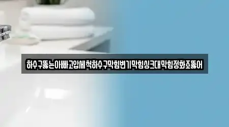하수구뚫는아빠고압세척하수구막힘변기막힘싱크대막힘정화조뚫어