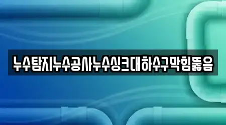 누수탐지누수공사누수싱크대하수구막힘뚫음
