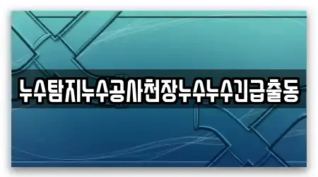 누수탐지누수공사천장누수누수긴급출동