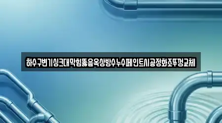 하수구변기싱크대막힘뚫음옥상방수누수페인트시공정화조뚜껑교체