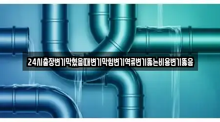 24시출장변기막혔을때변기막힘변기역류변기뚫는비용변기뚫음