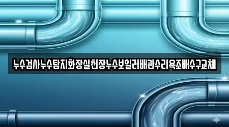 누수검사누수탐지화장실천장누수보일러배관수리욕조배수구교체