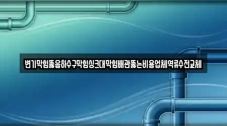 변기막힘뚫음하수구막힘싱크대막힘배관뚫는비용업체역류수전교체