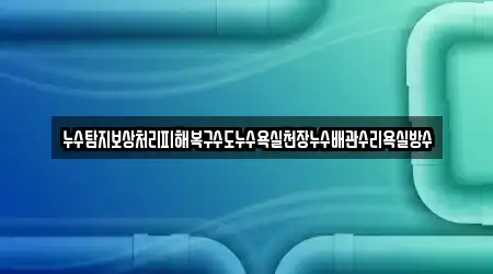 누수탐지보상처리피해복구수도누수욕실천장누수배관수리욕실방수