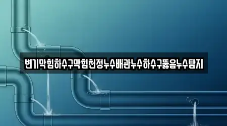 변기막힘하수구막힘천정누수배관누수하수구뚫음누수탐지