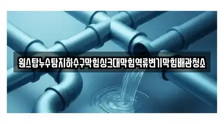 원스탑누수탐지하수구막힘싱크대막힘역류변기막힘배관청소