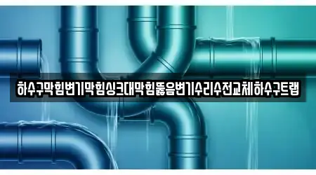 하수구막힘변기막힘싱크대막힘뚫음변기수리수전교체하수구트랩