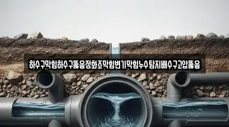 하수구막힘하수구뚫음정화조막힘변기막힘누수탐지배수구고압뚫음