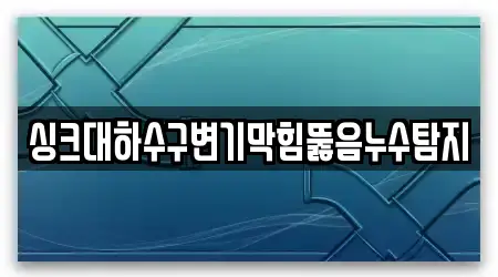 싱크대하수구변기막힘뚫음누수탐지