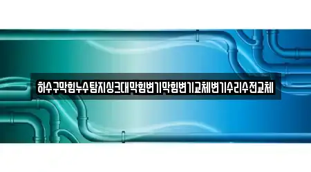 하수구막힘누수탐지싱크대막힘변기막힘변기교체변기수리수전교체