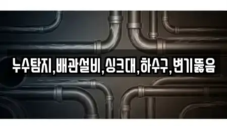 누수탐지,배관설비,싱크대,하수구,변기뚫음