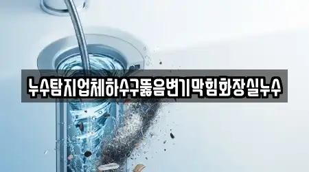 누수탐지업체하수구뚫음변기막힘화장실누수